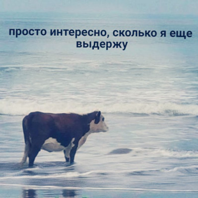 2022-03-20-03-21-28.jpg